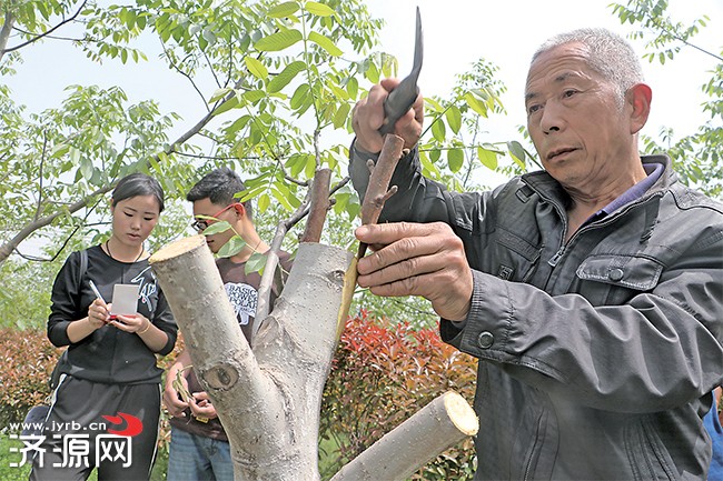 濟源網(wǎng)