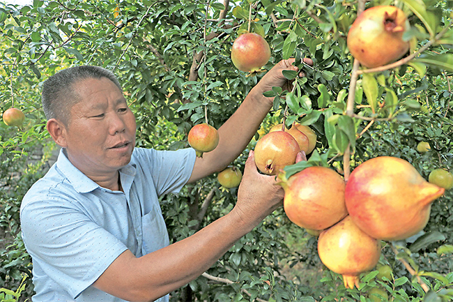 濟(jì)源網(wǎng)