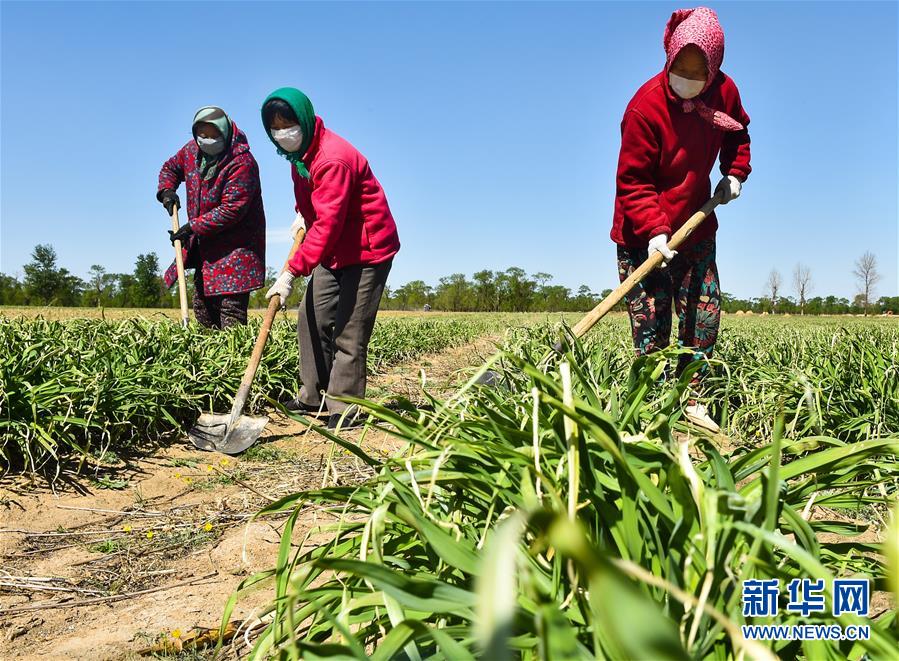 （新華全媒頭條·圖文互動(dòng)）（17）從人民中汲取磅礴力量——習(xí)近平總書記同出席2020年全國(guó)兩會(huì)人大代表,、政協(xié)委員共商國(guó)是紀(jì)實(shí)