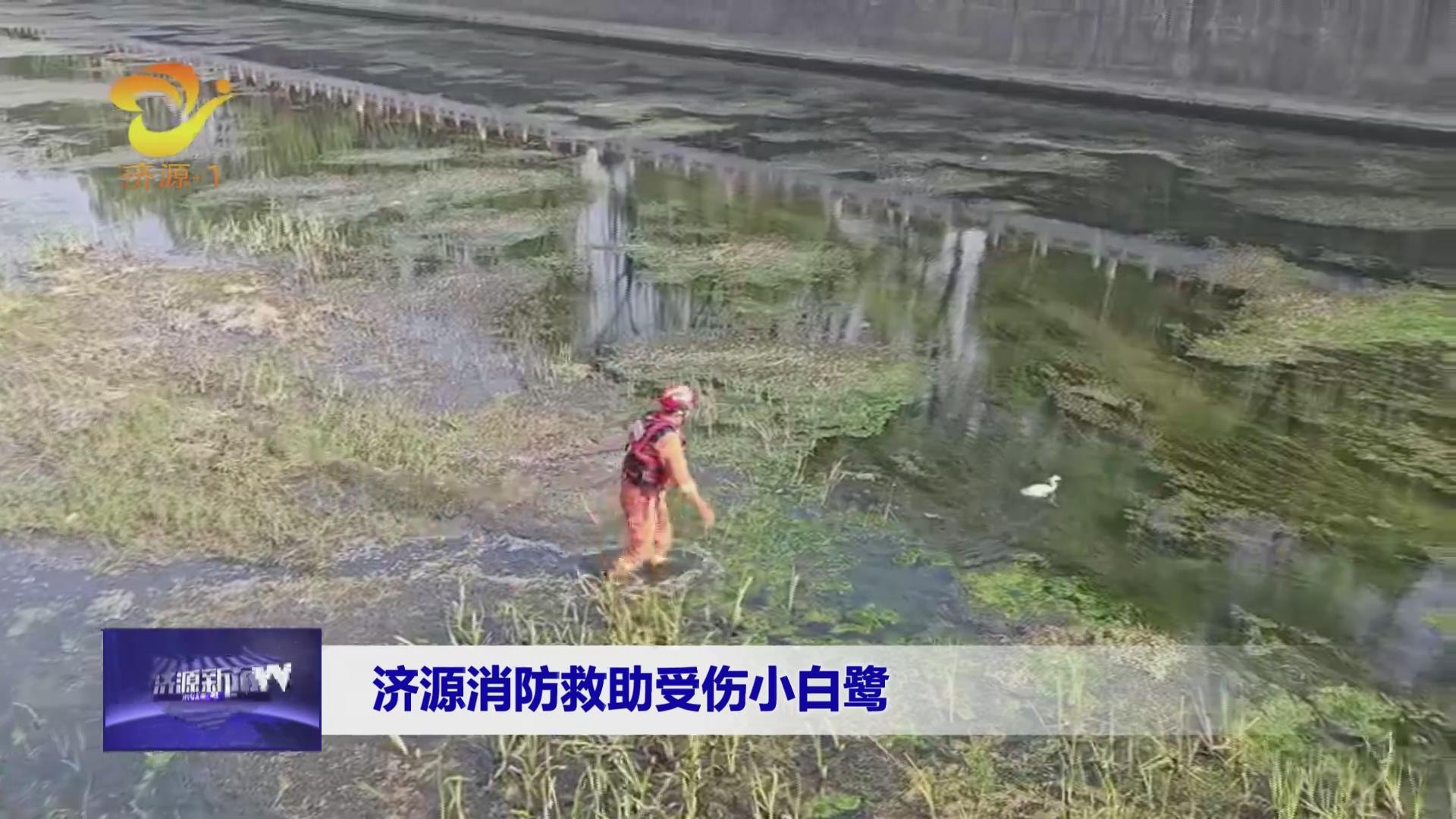 濟源網(wǎng)