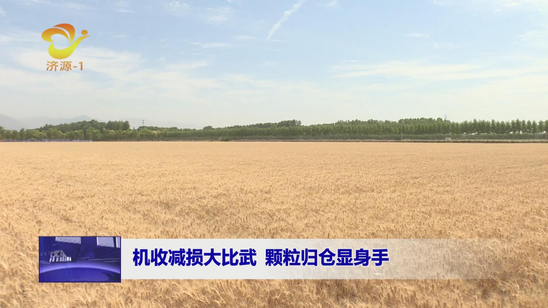 濟源網(wǎng)