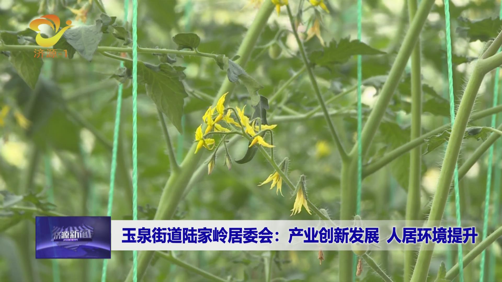 濟源網