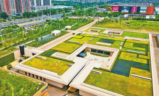濟源網